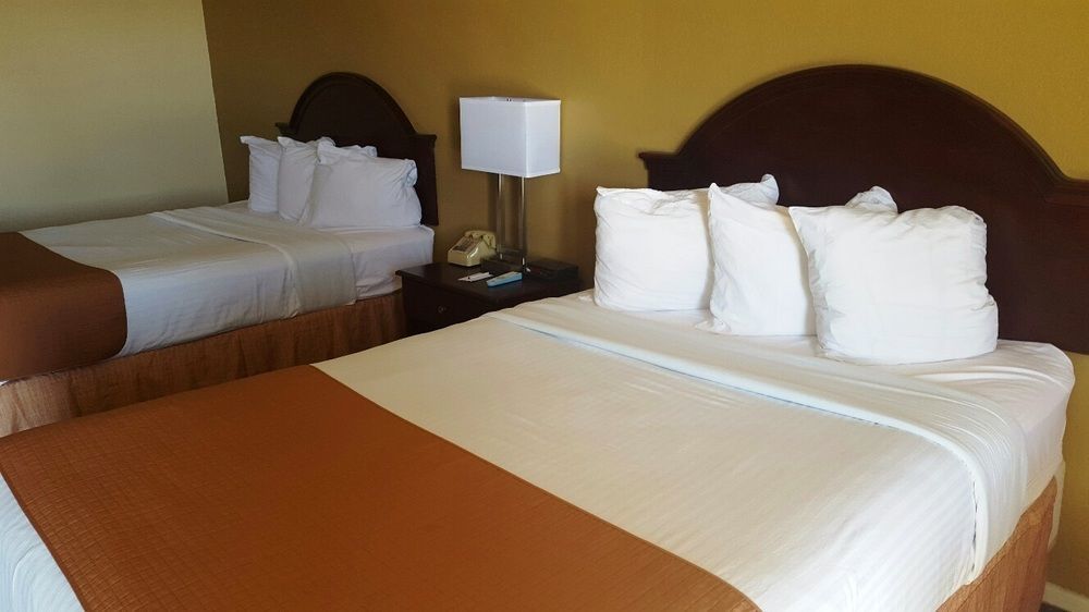 Lodge Econo